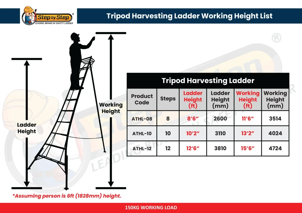 ATHL Tripod Harvesting Ladder Chart