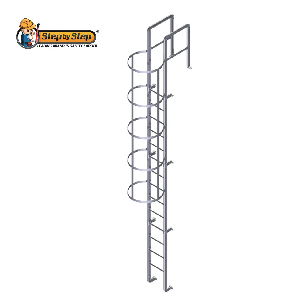 Cat Ladder With Cage & Handrail