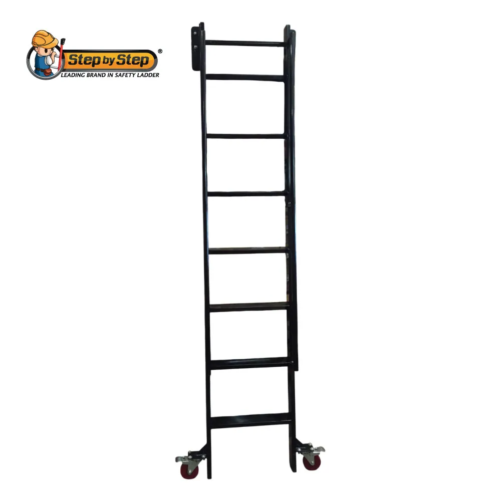 Library Ladder